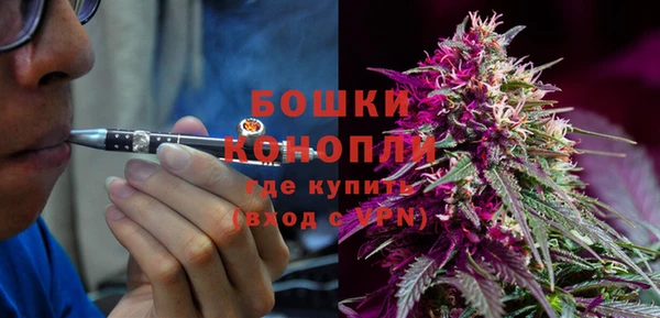 мдпв Надым